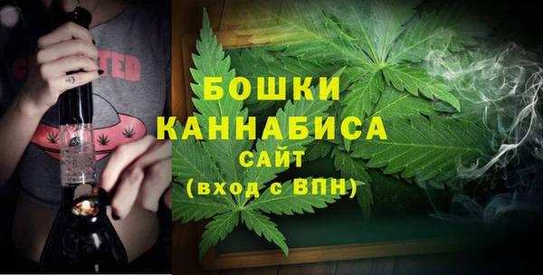 мескалин Заводоуковск