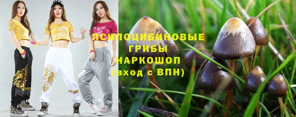 мескалин Заводоуковск
