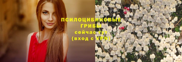 мескалин Заводоуковск