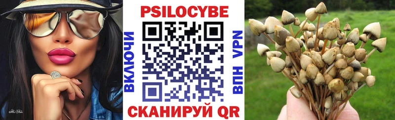Галлюциногенные грибы MAGIC MUSHROOMS  Тара 